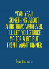 yeah something Birthday Card 14100 created by The Buddy Fernandez Card Co.