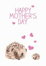 hedgehog spikey Mothers Day Card 32763 created by Olivia Morgan ltd