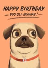 pug dog Card 37753 created by Pugs and Stuffs