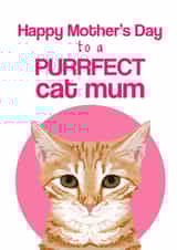 purrfect cat Mothers Day Card 2264 created by Pet Friendly