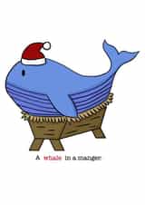 christmas whale Card 39013 created by DaisyPip Prints