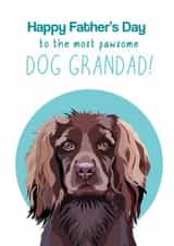 Cute Spaniel Fathers Day Card - Grandad - Dog - To The Most Pawsome Dog Grandad created by Pet Friendly
