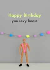 birthday funny Birthday Card 11501 created by Bold & Bright Cards