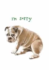 dog bulldog Sorry Card 10956 created by Elsa The Snaggletooth
