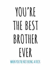 Your the best brother ever rude Birthday card created by Banter King