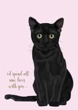 cat spend Anniversary Card 15289 created by Madeleine Grange-Glen