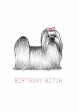 bitch bichon Birthday Card 13381 created by Beth Goodwin