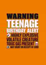 Funny Birthday Card - Teenager - Warning Teenage Birthday Alert Highly Explosive Volatile Creature created by Pendrea Noye