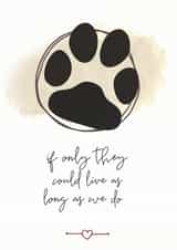 pet loss Sympathy Card 5763 created by Open Space Collective