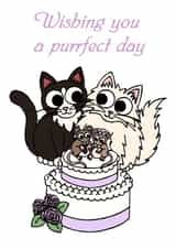 Purrfect day wedding card created by Kim Onyskiw
