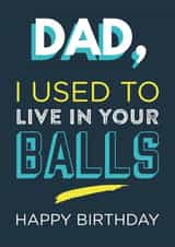 dad balls Birthday Card 9251 created by Tiger Feet Creations