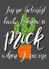 funny cheeky Card 39790 created by Chloe Jasmine