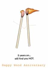 Funny Matchstick Anniversary Card - Wood Anniversary - 5 Years On...Still Find You Hot created by Harriet Popham