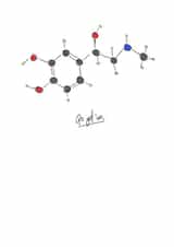 adrenaline science Card 30399 created by Katie-Lu