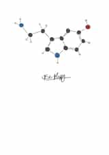 serotonin seratonin Card 30401 created by Katie-Lu