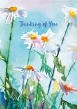 Thinkingofyou sympathy Card 29297 created by Diana Fegredo