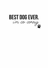 dog pet Sympathy Card 5765 created by Open Space Collective