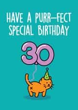 special purr Birthday Card 8616 created by Thirty Mussels