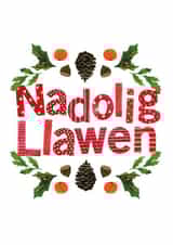 cymreig nadolig Card 40183 created by Cardiau Cymraeg