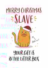 cat pet Christmas Card 14427 created by Beehive Design