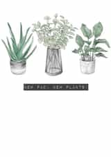 Plants leaf New Home Card 12537 created by ByHannahMay