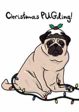 pug dog Christmas Card 14080 created by OhJaye
