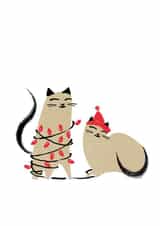 Two cats Christmas Card for cat lovers — Fancy dress cats — cat couple created by Purpose & Worth etc