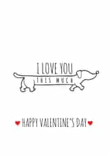 sasuage adult Valentines Day Card 37662 created by Coco Loco Boutique