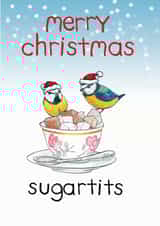 sugartits birds Christmas Card 14557 created by Blair