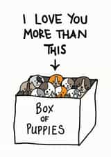 adult box of puppies Valentines Day Card 9834 created by Cat Flap Cards