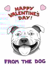 staffie staffordshirebullterrier Valentines Day Card 24611 created by Off The Leash Cartoons by Rupert Fawcett