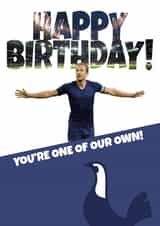 Tottenham Spurs Birthday Card 15035 created by Maya Rose Creations
