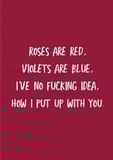 roses are red no fucking idea Valentines Day Card 39502 created by The Sweary Card Co