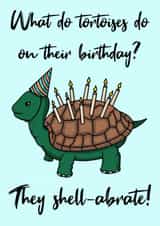 Cute Birthday Card - Tortoise - Pun created by Lucy Sneddon