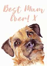 Cute Mothers Day Card - Mum - Dog - Best Mum Ever created by Jo Scott Art