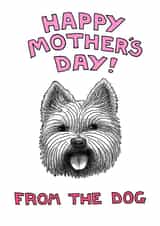 westie terrier Mothers Day Card 1946 created by Off The Leash Cartoons by Rupert Fawcett