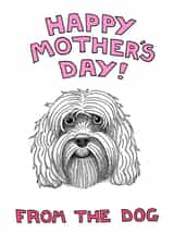 cockapoo adult Mothers Day Card 1947 created by Off The Leash Cartoons by Rupert Fawcett
