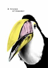 TOUCAN adult Thank You Card 9140 created by PAPAGRAZI