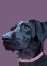 arty animal Just because Card 15507 created by Lizzie Barrett