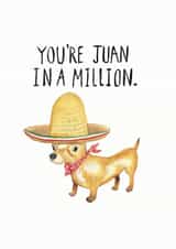 chihuahua dog Birthday Card 15558 created by JOLLY AWESOME
