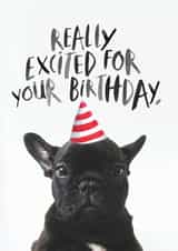 frenchie dog Birthday Card 15561 created by JOLLY AWESOME