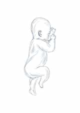 New baby baby Card 41158 created by Thomas Haddon