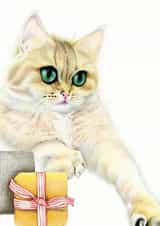 Card 24031 created by DECKLED EDGE LTD