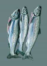 Card 24032 created by DECKLED EDGE LTD