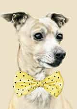 dog bowtie Birthday Card 24033 created by DECKLED EDGE LTD