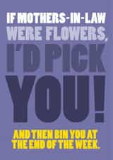 Funny tongue-in-cheek Mother's Day card for a mother-in-law created by Wordplay Design
