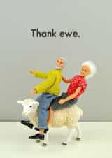 ewe adult Thank You Card 11544 created by Bold & Bright Cards
