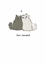 Cute grey cats just married created by Reigning Cats . . . and dogs
