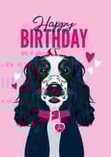 Cocker Spaniel Birthday Card from the Dog created by Diva Doodle Designs