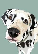 dalmatian pet Birthday Card 16834 created by Higgledy Pets